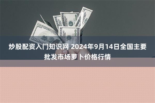 炒股配资入门知识网 2024年9月14日全国主要批发市场萝卜价格行情