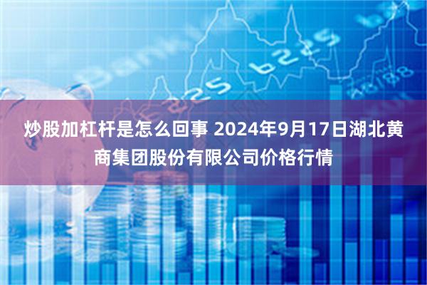 炒股加杠杆是怎么回事 2024年9月17日湖北黄商集团股份有限公司价格行情