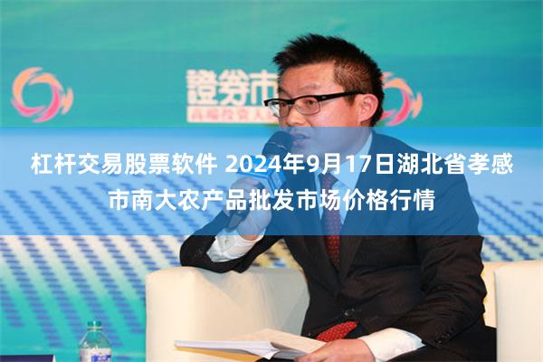 杠杆交易股票软件 2024年9月17日湖北省孝感市南大农产品批发市场价格行情