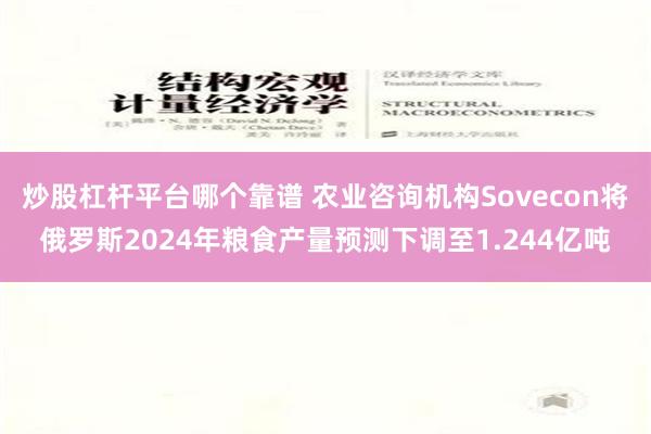 炒股杠杆平台哪个靠谱 农业咨询机构Sovecon将俄罗斯2024年粮食产量预测下调至1.244亿吨