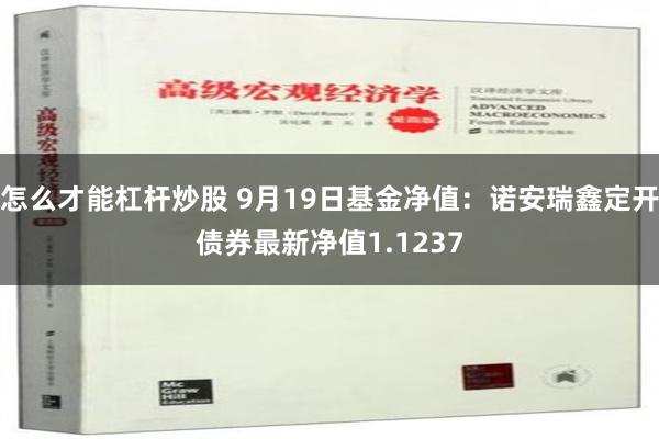 怎么才能杠杆炒股 9月19日基金净值：诺安瑞鑫定开债券最新净值1.1237