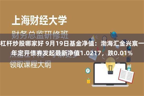 杠杆炒股哪家好 9月19日基金净值：渤海汇金兴宸一年定开债券发起最新净值1.0217，跌0.01%