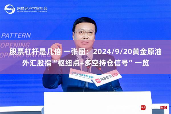 股票杠杆是几倍 一张图：2024/9/20黄金原油外汇股指“枢纽点+多空持仓信号”一览