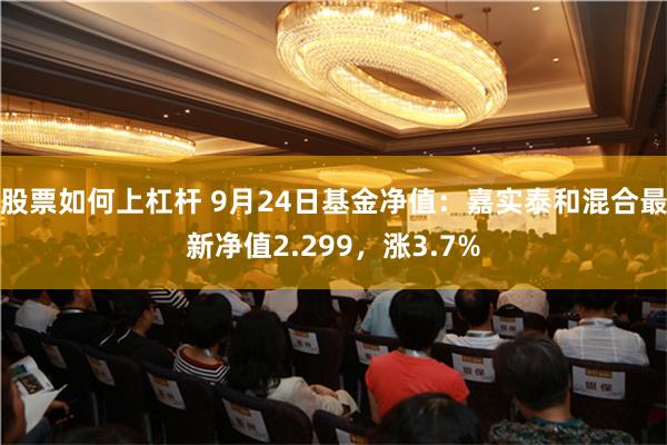 股票如何上杠杆 9月24日基金净值：嘉实泰和混合最新净值2.299，涨3.7%