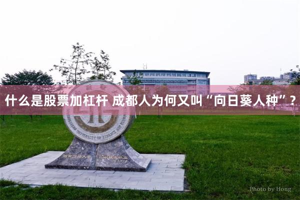 什么是股票加杠杆 成都人为何又叫“向日葵人种”？