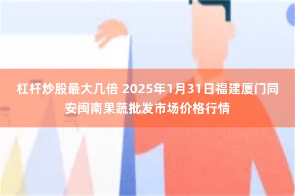 杠杆炒股最大几倍 2025年1月31日福建厦门同安闽南果蔬批发市场价格行情