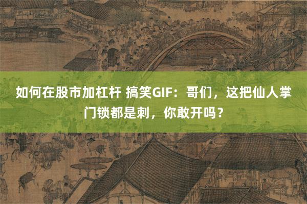 如何在股市加杠杆 搞笑GIF：哥们，这把仙人掌门锁都是刺，你敢开吗？