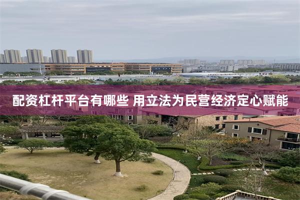 配资杠杆平台有哪些 用立法为民营经济定心赋能