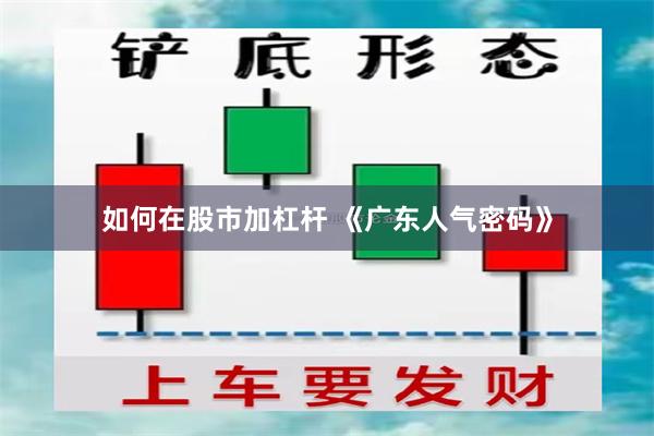 如何在股市加杠杆 《广东人气密码》